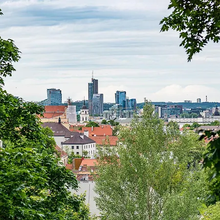 Διαμέρισμα Subaciaus Studio In Old Town *