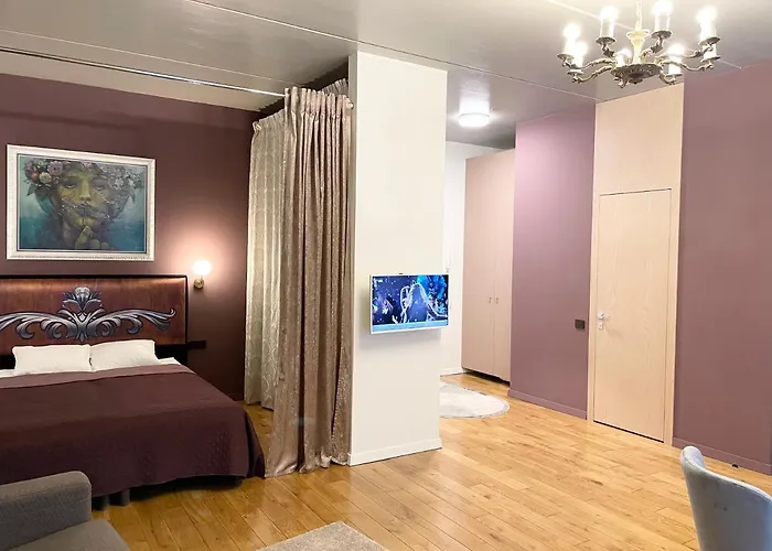 Subaciaus Studio In Old Town Διαμέρισμα Βίλνιους